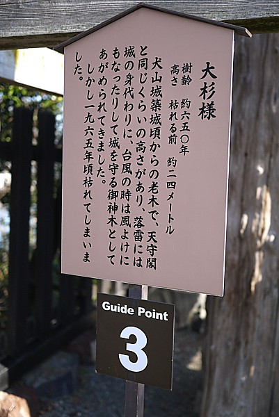 大杉様