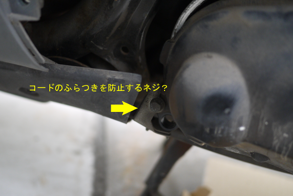 リード 100