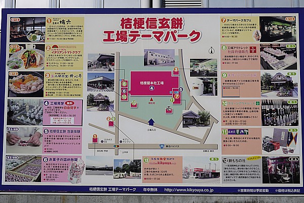 テレビによく出る