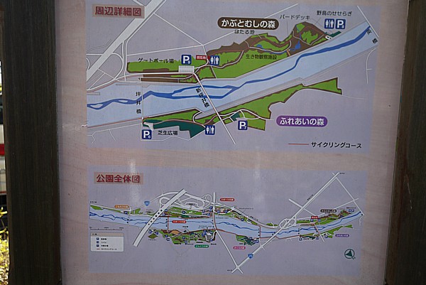 ブログ旅行記