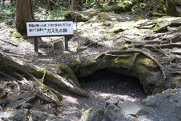 洞窟が見たい!