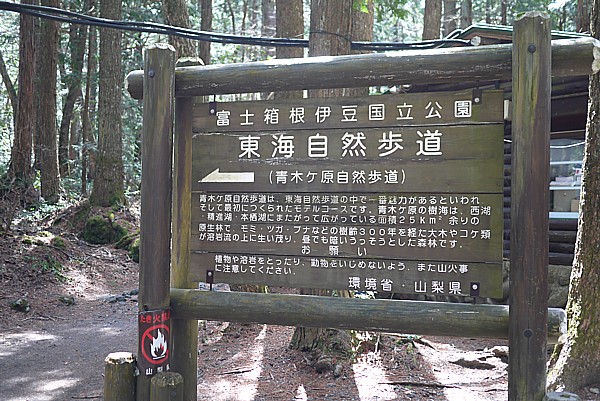 子供のリクエストでやってきた