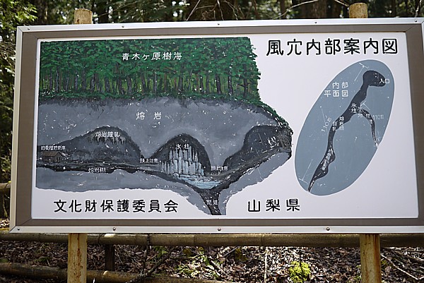 青木が原樹海