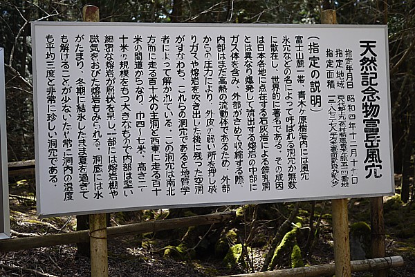 天然記念物