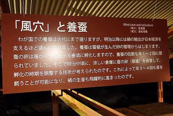洞窟利用