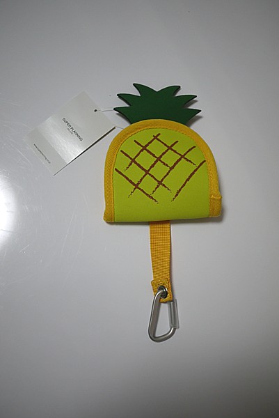 アナタならナニを入れる?