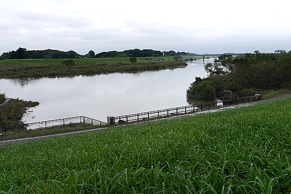 江戸川放水口