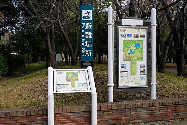穴場