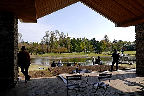 彩の森 入間公園