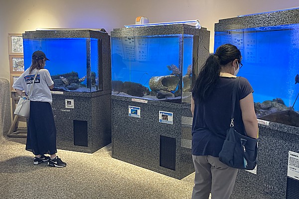 無料の水族館