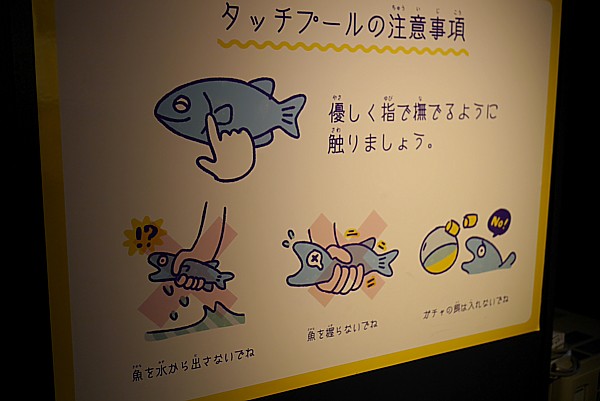 タッチプール