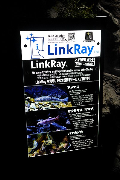 LinkRay