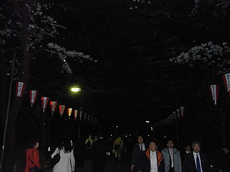 上野公園 花見 2011