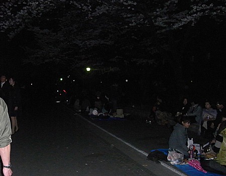 上野公園 花見 2011