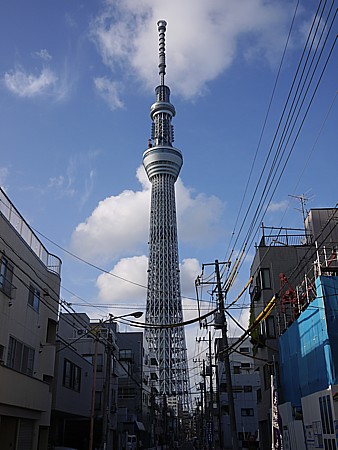 電線地中化