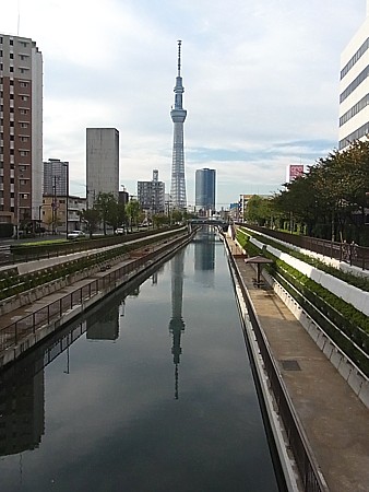 亀戸から