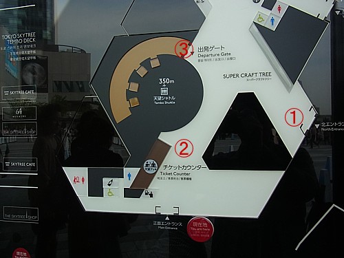 展望台レポ
