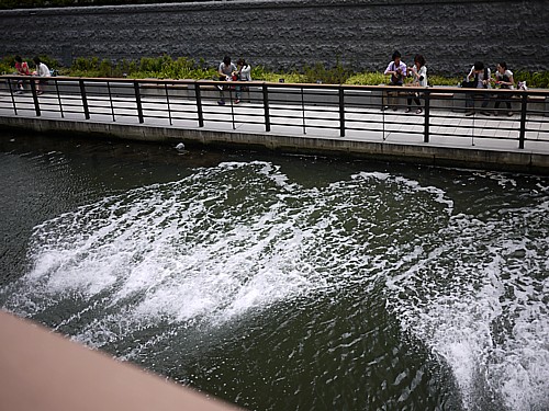 水辺