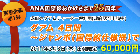 ANAファン必見