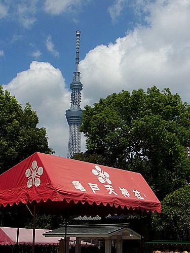 船橋屋