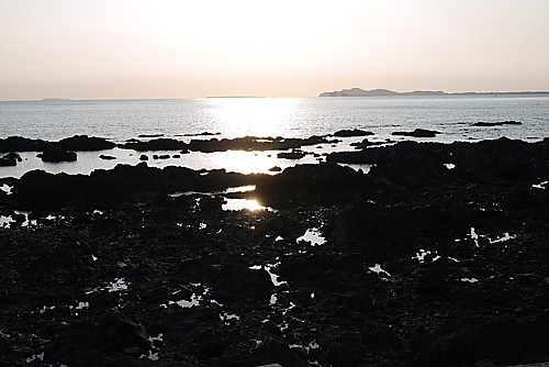 磯遊び