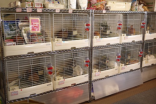 うさぎのゲージ