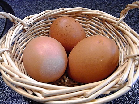 新鮮な生卵