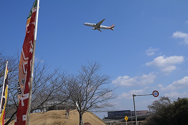 成田市さくらの山公園