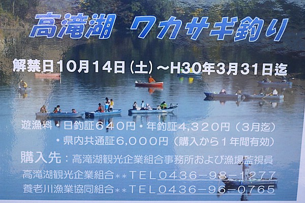 千葉 高竜湖 たかたきこ ワカサギ釣りは 18年3月31日まで どうする満作 版