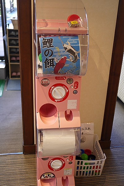 コイの餌