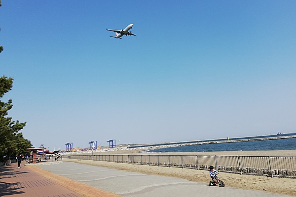 飛行機の着陸が近くで見られる