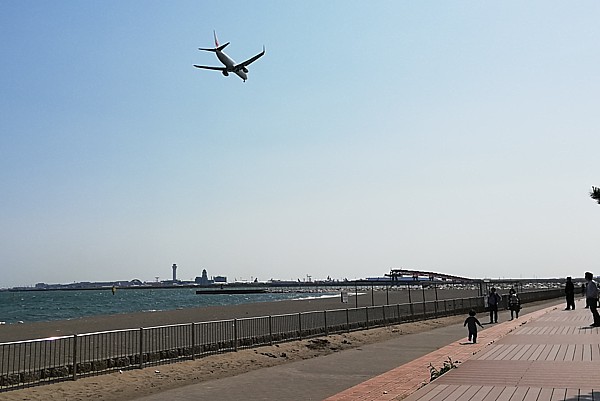 飛行機の着陸が近くで見られる