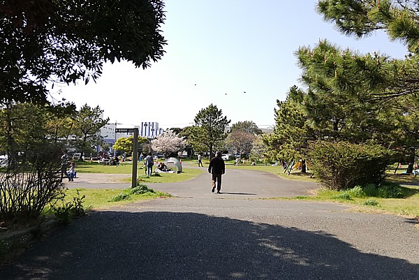 お出かけ情報