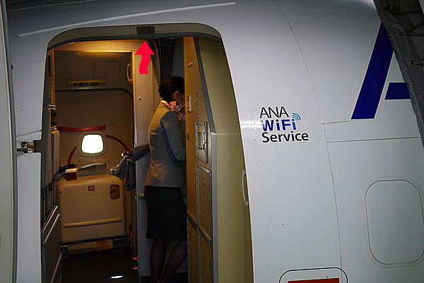 ANA NH530