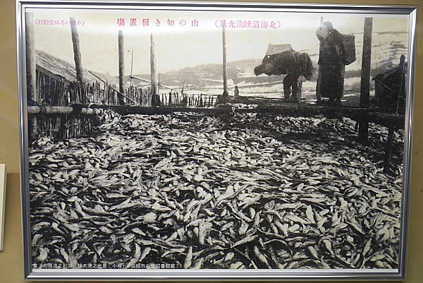 豊漁