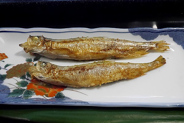 本物のシシャモ