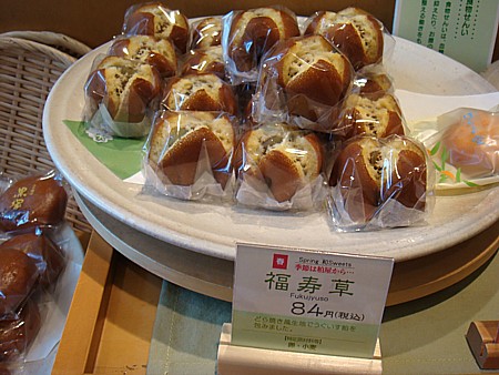 福寿草