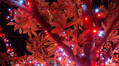 サンケイビル前クリスマスツリー.jpg